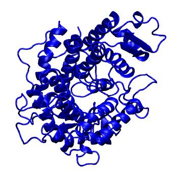 Structure preview of MoDEL 1AYX