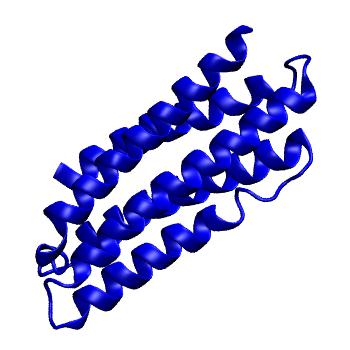 Structure preview of MoDEL 1AEP