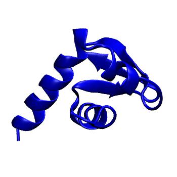 Structure preview of MoDEL 1AA3