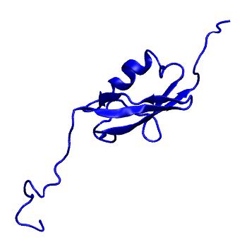 Structure preview of MoDEL 1A5R