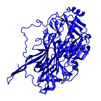 Structure preview of MoDEL 1AV4