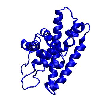 Structure preview of MoDEL 1AD6