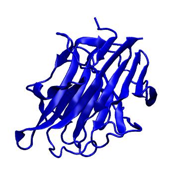 Structure preview of MoDEL 2AYH