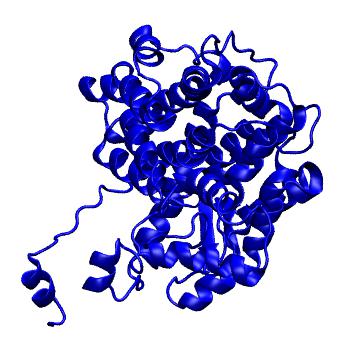 Structure preview of MoDEL 1AL6