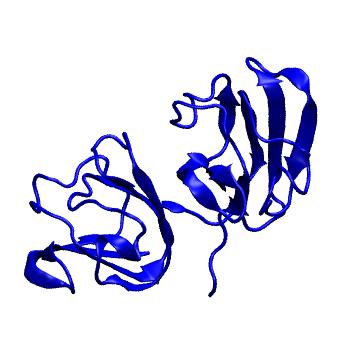 Structure preview of MoDEL 1AMM