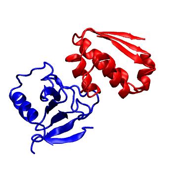 Structure preview of MoDEL 1AY7