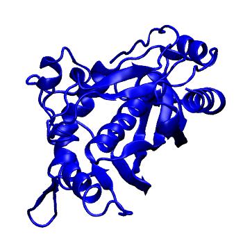 Structure preview of MoDEL 1AJM