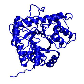 Structure preview of MoDEL 2ALD