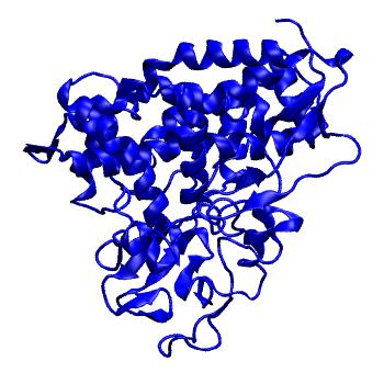 Structure preview of MoDEL 1AKD