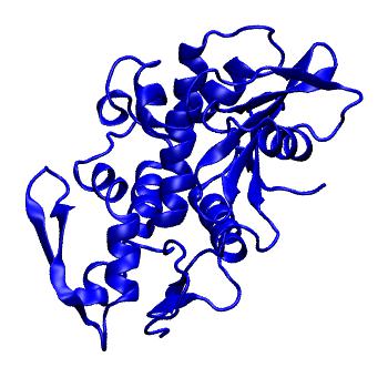 Structure preview of MoDEL 1APA