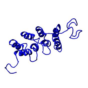 Structure preview of MoDEL 2A5E