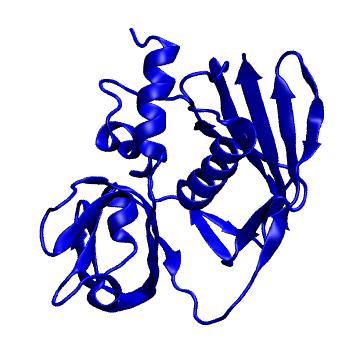 Structure preview of MoDEL 1AN8