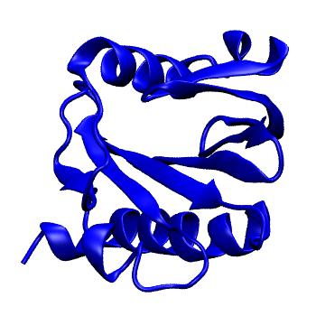 Structure preview of MoDEL 1ACF
