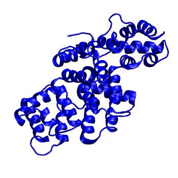 Structure preview of MoDEL 1AXN