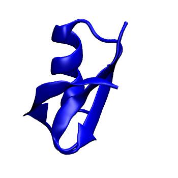 Structure preview of MoDEL 1AGT