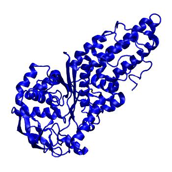 Structure preview of MoDEL 1A8H