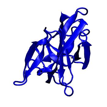 Structure preview of MoDEL 1AT0