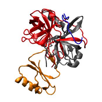 Structure preview of MoDEL 1ACB