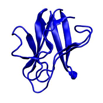 Structure preview of MoDEL 1AAC