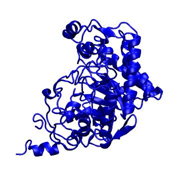 Structure preview of MoDEL 1BWK