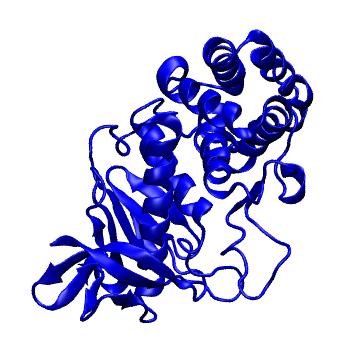 Structure preview of MoDEL 1BQB