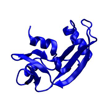 Structure preview of MoDEL 2BWK