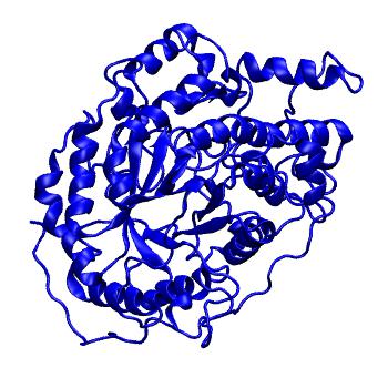 Structure preview of MoDEL 1B1Y