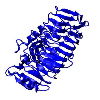 Structure preview of MoDEL 1BHE