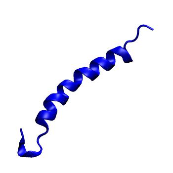 Structure preview of MoDEL 1B9P