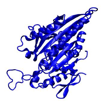 Structure preview of MoDEL 1BG2