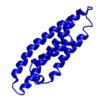 Structure preview of MoDEL 1BZ4
