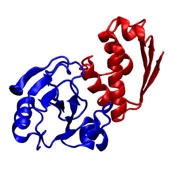 Structure preview of MoDEL 1BGS