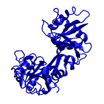 Structure preview of MoDEL 1BP5