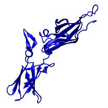 Structure preview of MoDEL 1BOY