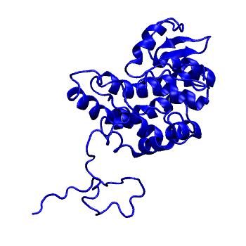 Structure preview of MoDEL 1BG5