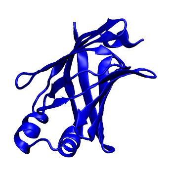 Structure preview of MoDEL 1B56
