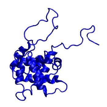 Structure preview of MoDEL 2BID