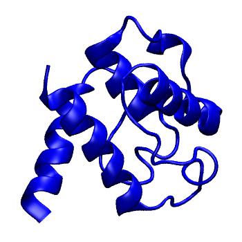 Structure preview of MoDEL 1BKR