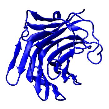 Structure preview of MoDEL 1CPN