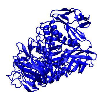 Structure preview of MoDEL 1CYG