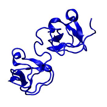 Structure preview of MoDEL 1C89