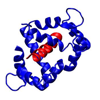 Structure preview of MoDEL 1CDL