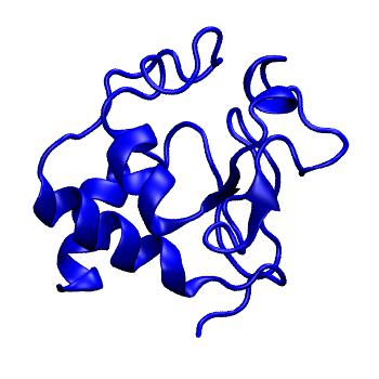 Structure preview of MoDEL 1CO6