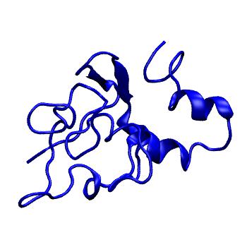 Structure preview of MoDEL 2CYM