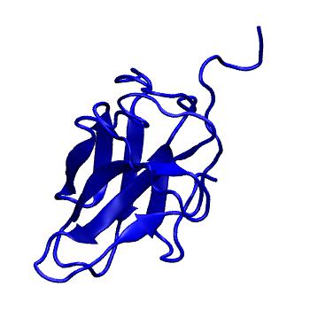 Structure preview of MoDEL 1CO1