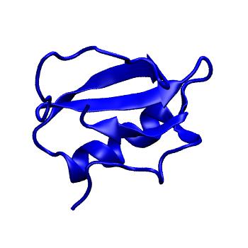 Structure preview of MoDEL 1CIS