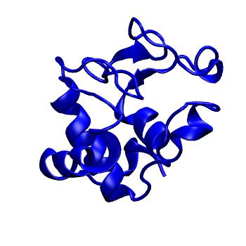 Structure preview of MoDEL 1CCR