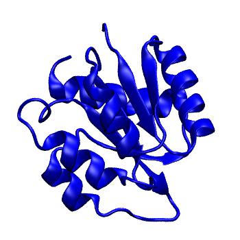 Structure preview of MoDEL 1CHN