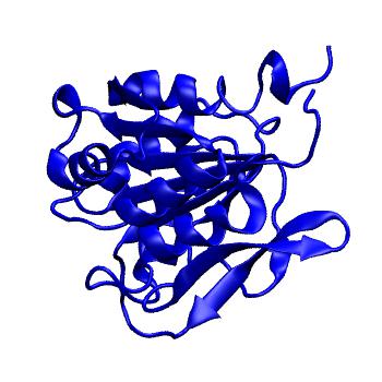 Structure preview of MoDEL 1CHD
