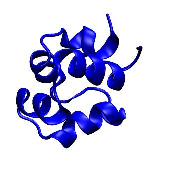 Structure preview of MoDEL 2CRO